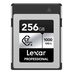 Memoria flash Scheda di memoria Lexar Professional 256GB LCXEXSL256G-RNENG