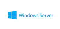 Lenovo Windows Server Essentials 2019 1 licenza/e [7S05001RWW]