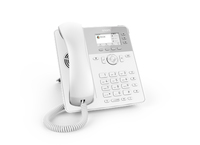 Snom D717 telefono IP Bianco TFT [4398]