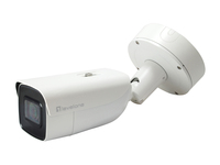 LevelOne FCS-5212 telecamera di sorveglianza Capocorda Telecamera sicurezza IP Interno e esterno 3072 x 2048 Pixel Soffitto/muro [FCS-5212]