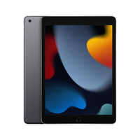 Tablet Apple iPad 10.2-inch Wi-Fi 256GB - Grigio siderale [MK2N3TY/A]