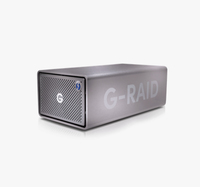 Hard disk esterno SanDisk G-RAID 2 disco rigido 40000 GB Grigio [SDPH62H-040T-MBAAD]