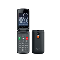 Cellulare GIGASET GL590 DUAL SIM 2.8
