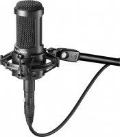 Audio-Technica AT2050 microfono [AT2050]