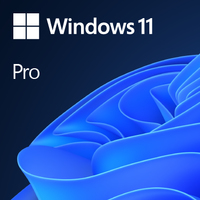 Microsoft Windows 11 Pro Prodotto completamente confezionato (FPP) 1 licenza/e [HAV-00210]