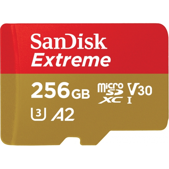 Memoria flash SanDisk 256GB Extreme microSDXC Classe 10 [SDSQXA1-256G-GN6MA]