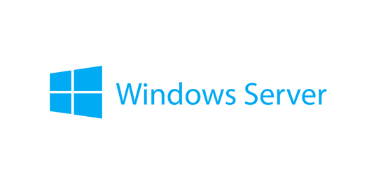 Lenovo Windows Server Essentials 2019 [7S05001RWW]