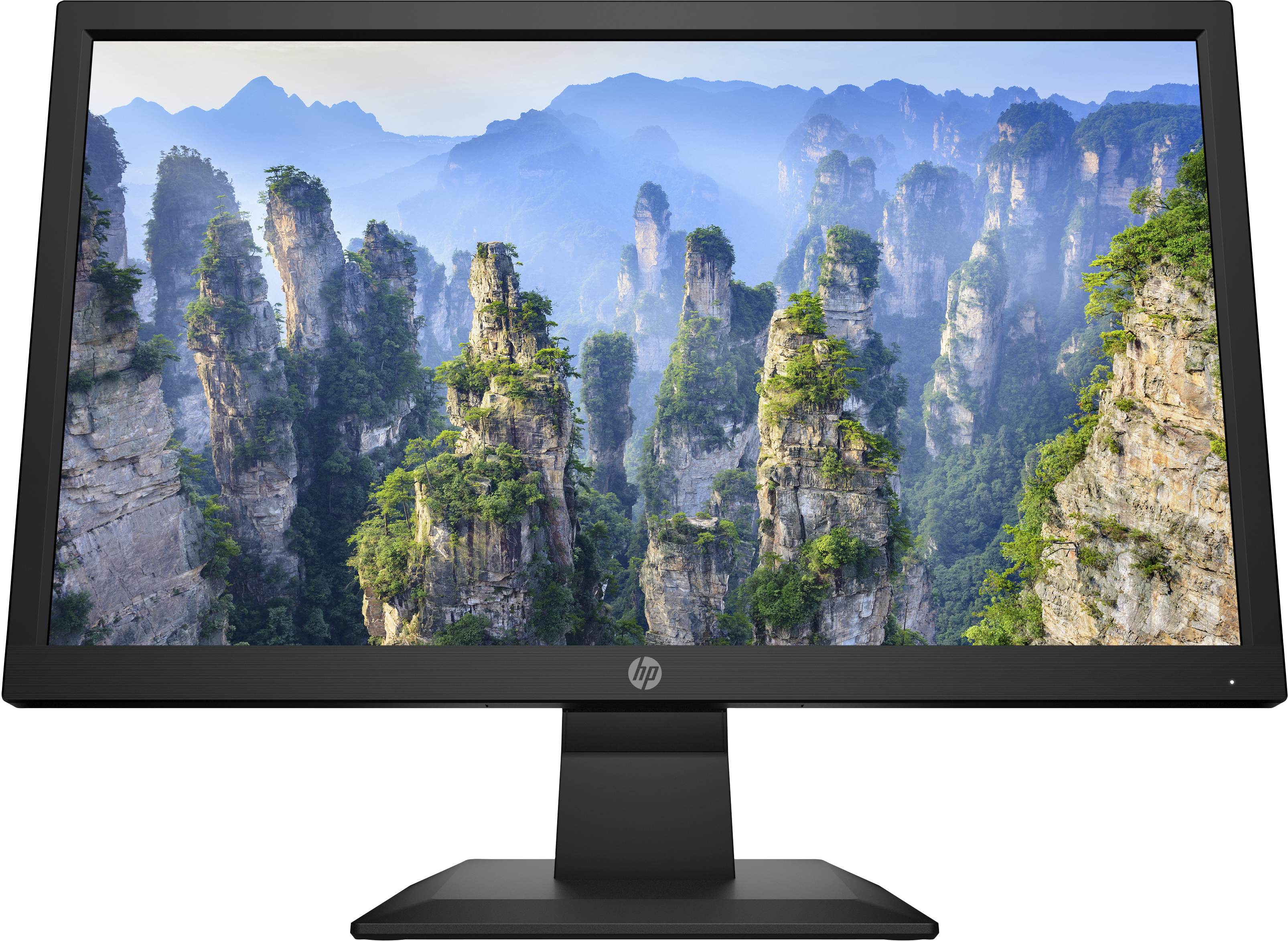 Monitor HP V20 49,5 cm (19.5