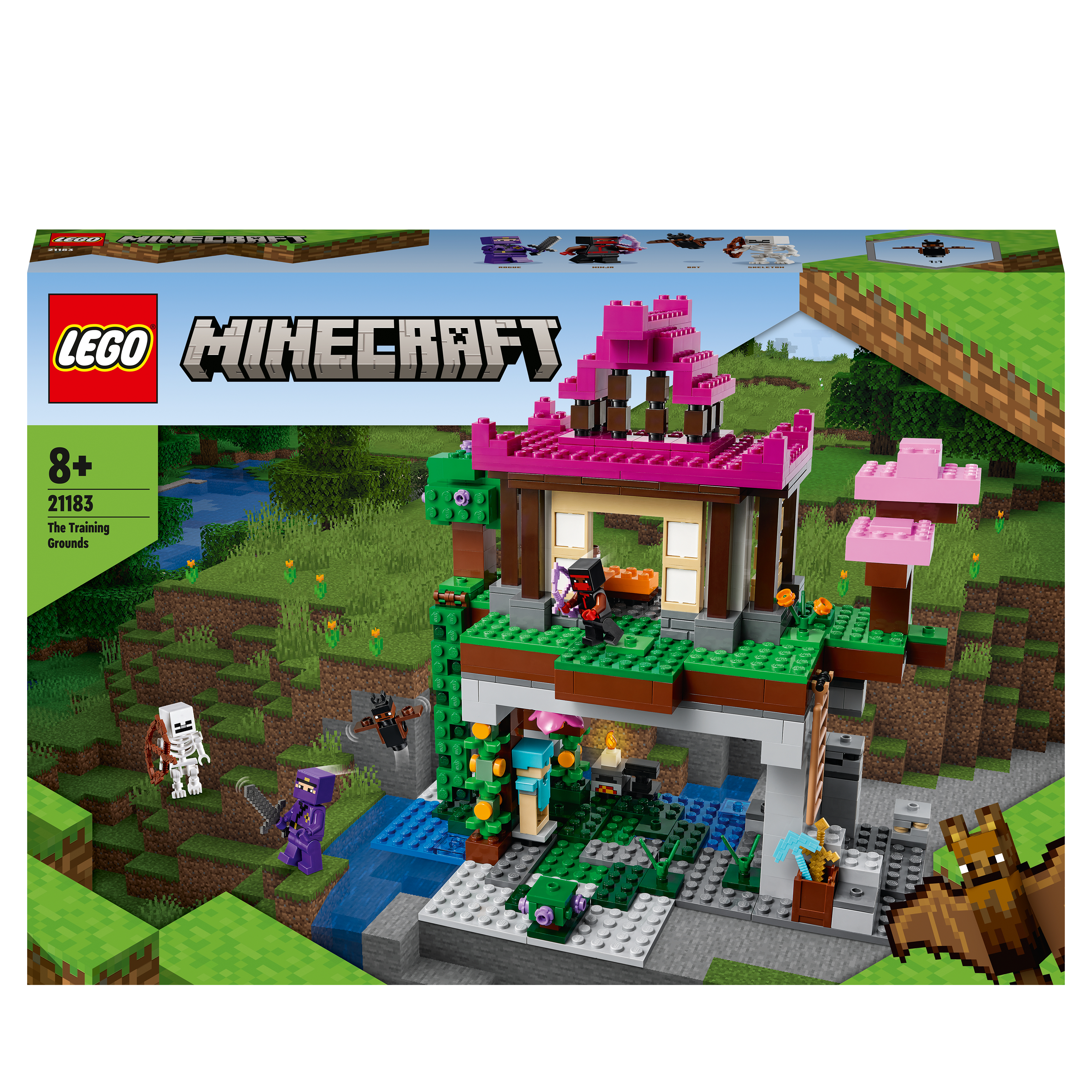 LEGO Minecraft I Campi d’Allenamento [21183]
