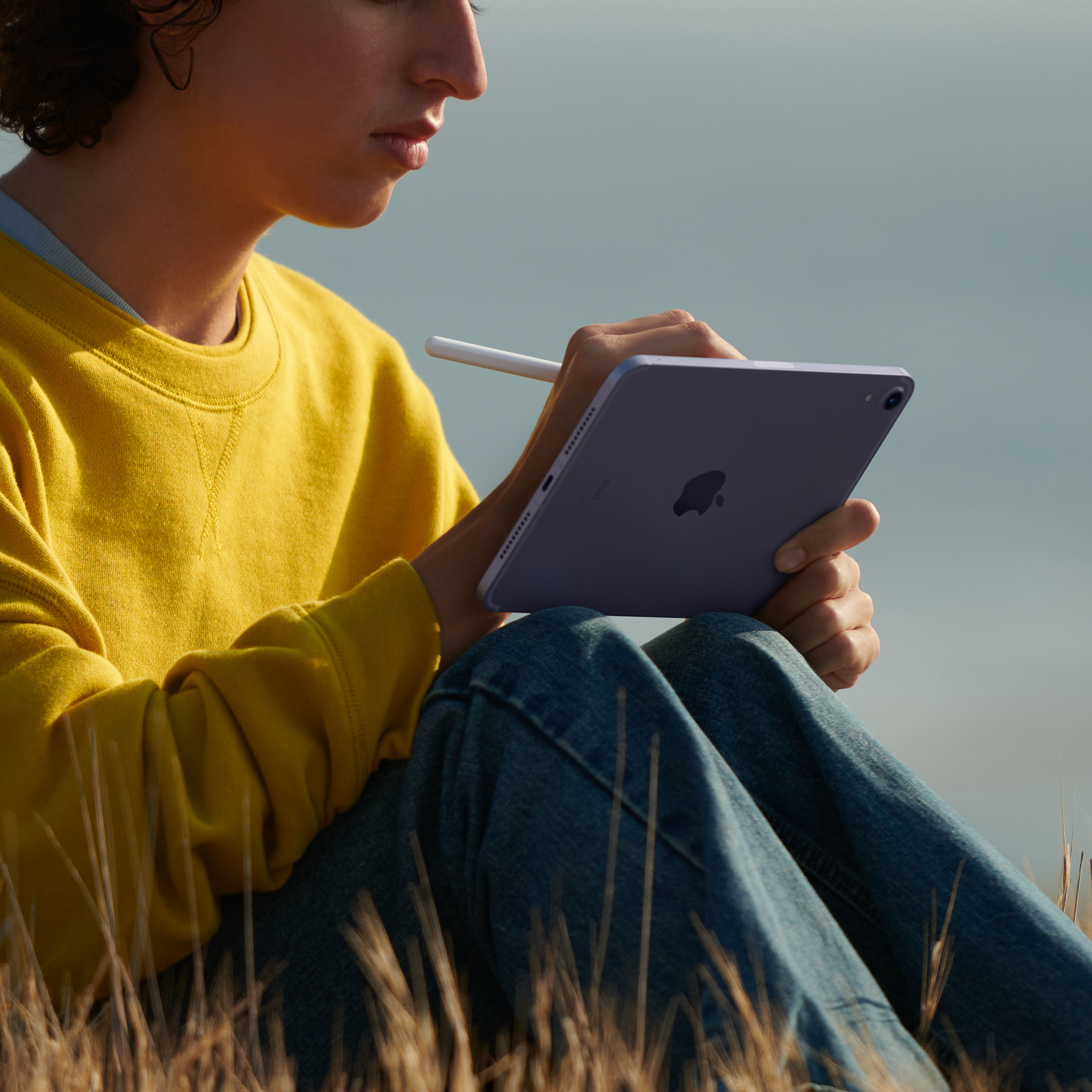 Tablet Apple iPad mini 5G TD-LTE & FDD-LTE 64 GB 21,1 cm [8.3] Wi-Fi 6 [802.11ax] iPadOS 15 Rose Gold (IPAD MINI WI-FI + CELL 64GB - 8.3IN A15 CHIP PINK) [MLX43FD/A]