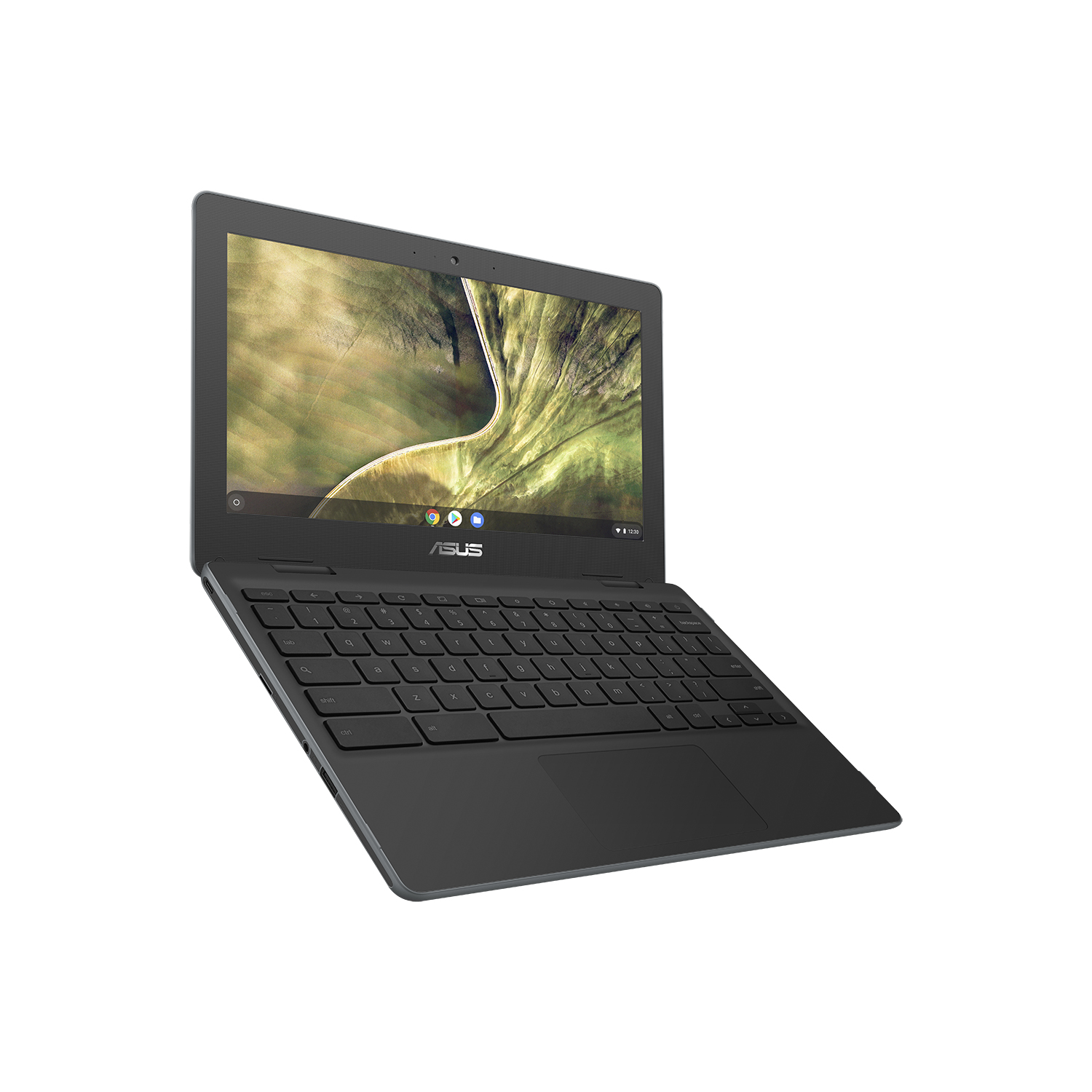 Notebook ASUS Chromebook C204MA-BU0436 29,5 cm (11.6