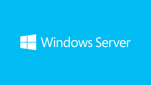 Microsoft Windows Server 2019 Standard [P73-07828]