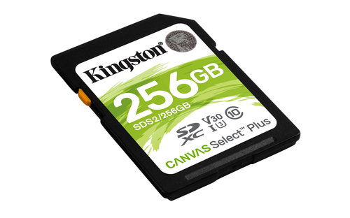 Memoria flash Kingston Technology Canvas Select Plus 256 GB SDXC UHS-I Classe 10 [SDS2/256GB]